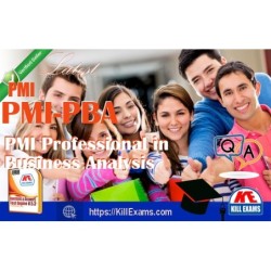 Actual PMI PMI-PBA questions with practice tests