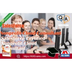 Actual SalesForce Nonprofit-Cloud-Consultant questions with practice tests