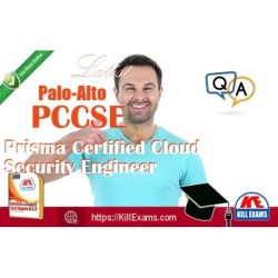 Actual Palo-Alto PCCSE questions with practice tests