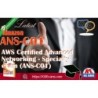 Actual Amazon ANS-C01 questions with practice tests
