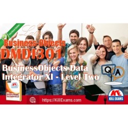 Actual Business-Objects DMDI301 questions with practice tests