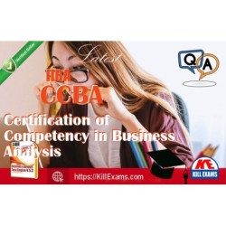 Actual IIBA CCBA questions with practice tests
