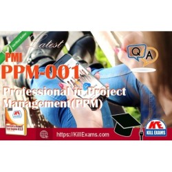 Actual PMI PPM-001 questions with practice tests