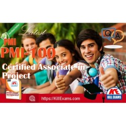 Actual PMI PMI-100 questions with practice tests