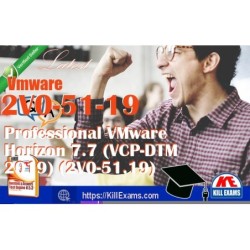 Actual Vmware 2V0-51-19 questions with practice tests